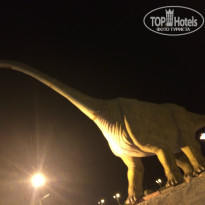 фото из отзыва ID 1057177