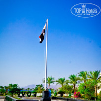 фото из отзыва ID 1059588