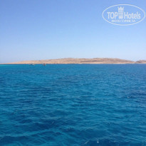 фото из отзыва ID 1059708