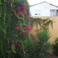 фото из отзыва ID 1059710