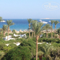 фото из отзыва ID 1059818