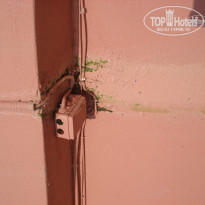 фото из отзыва ID 1053453