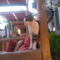 фото из отзыва ID 1056640