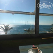 фото из отзыва ID 1056640