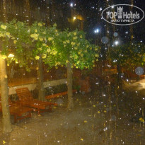 фото из отзыва ID 1054898