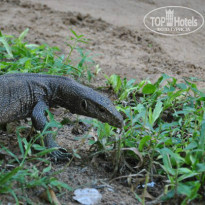 фото из отзыва ID 1057519