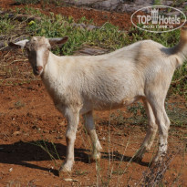 фото из отзыва ID 1051604