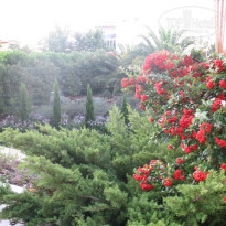 фото из отзыва ID 106119