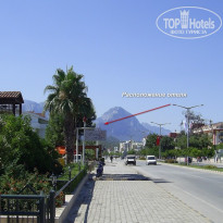 фото из отзыва ID 106165