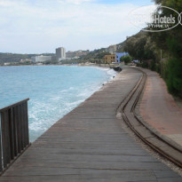 фото из отзыва ID 106355