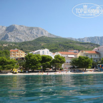 фото из отзыва ID 106406