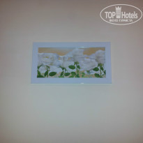 фото из отзыва ID 1060243