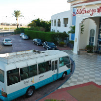 фото из отзыва ID 1060351