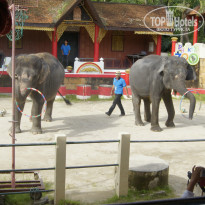 фото из отзыва ID 1060444