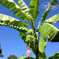 фото из отзыва ID 1060597