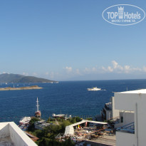 фото из отзыва ID 1060647