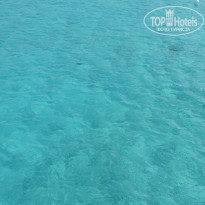 фото из отзыва ID 1060869