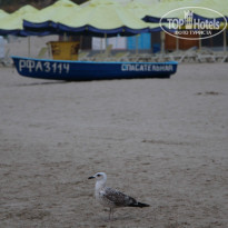 фото из отзыва ID 1060878