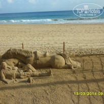 фото из отзыва ID 1060942