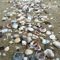 фото из отзыва ID 1061074