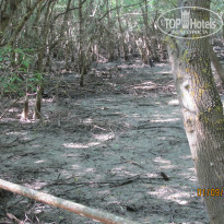 фото из отзыва ID 1061196