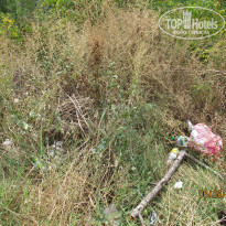 фото из отзыва ID 1061196