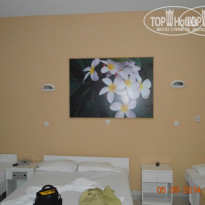 фото из отзыва ID 1061247