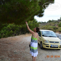 фото из отзыва ID 1061247