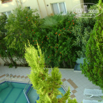 фото из отзыва ID 1061616