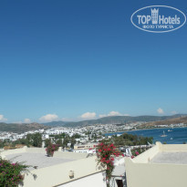 фото из отзыва ID 1061753