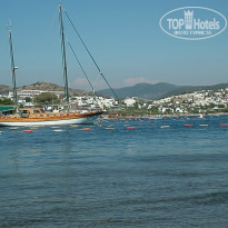 фото из отзыва ID 1061753