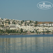 фото из отзыва ID 1061753