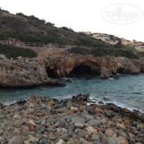 фото из отзыва ID 1061756