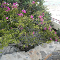 фото из отзыва ID 1061756