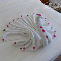 фото из отзыва ID 1061869