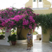 фото из отзыва ID 1061876