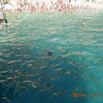 фото из отзыва ID 1061933