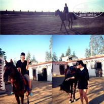 фото из отзыва ID 1062146