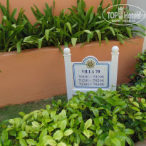 фото из отзыва ID 1062264