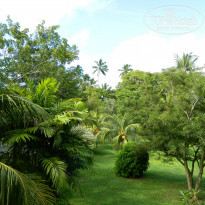 фото из отзыва ID 1062325