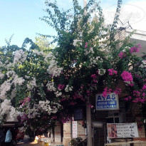 фото из отзыва ID 1062512