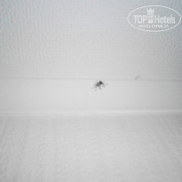 фото из отзыва ID 1062928