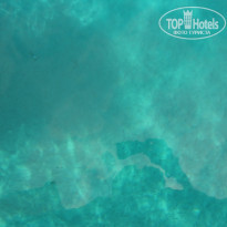 фото из отзыва ID 1063296