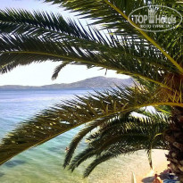 фото из отзыва ID 1063427