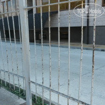 фото из отзыва ID 1063430