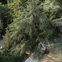 фото из отзыва ID 1063481