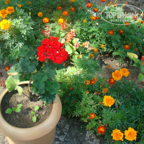 фото из отзыва ID 1063617