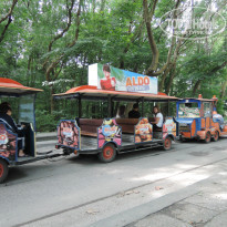 фото из отзыва ID 1063656