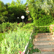 фото из отзыва ID 1063724