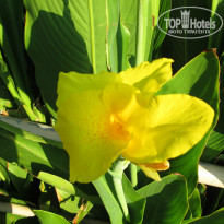 фото из отзыва ID 1063724